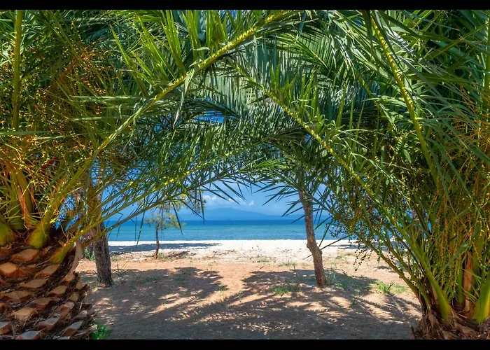 Aktaia Fresh Gazde/Camere de închiriat *