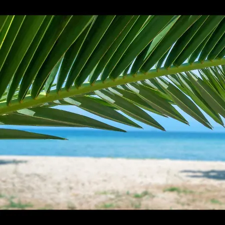 Aktaia Fresh * Ormos Prinou (Thasos)