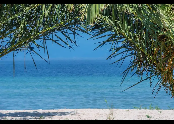 Проживание в семье Aktaia Fresh *