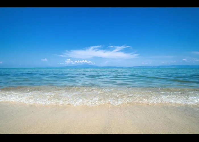 Проживание в семье Aktaia Fresh *