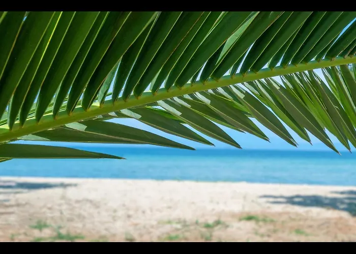 Aktaia Fresh * Ormos Prinou (Thasos)